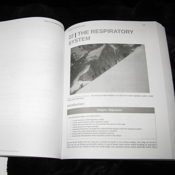 Openstax Anatomy and Physiology 2e Textbooks Part 1 and 2 - Picture 4 of 5